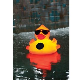 Derby Duck Solar Light Up Pool &amp; Spa Chlorinator