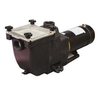 TidalWave Replacement Pump For I/G Pools