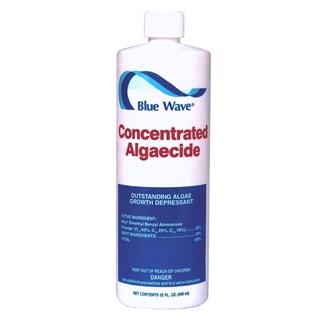 Concentrated Algaecide 1 qt.