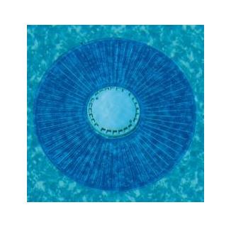 smart ring drain cover for in ground swimming pool
