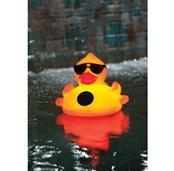Derby Duck Solar Light Up Pool &amp; Spa Chlorinator