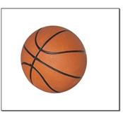 5in Mini Basketball